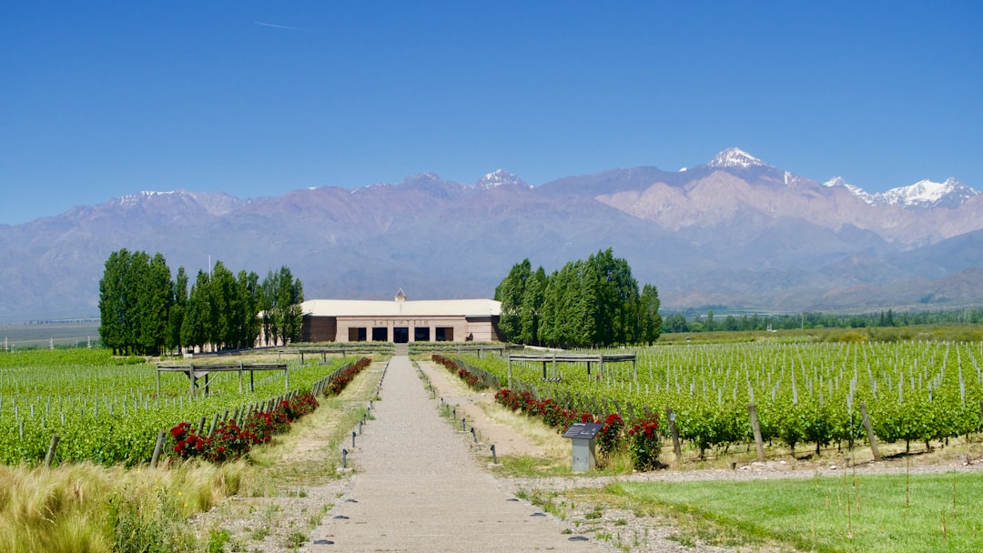 Colares: i vini atlantici sulle sabbie del Portogallo - Alameda Cel. Linhares de Lima 32 | Secret World Trip Planner