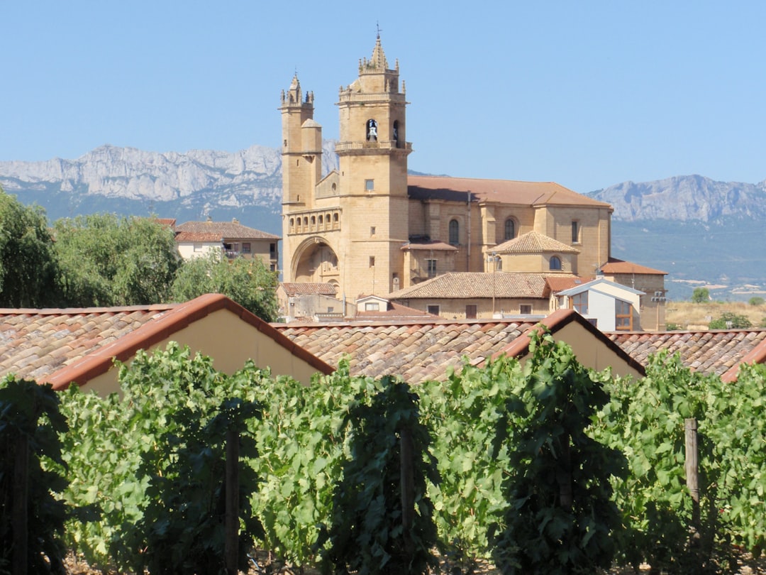 Colares: Atlantic Wines from Portugal's Sands - Alameda Cel. Linhares de Lima 32 | Secret World Trip Planner