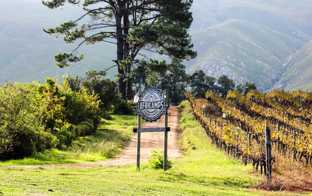 Colares : les vins atlantiques du Portugal — Alameda Cel. Linhares de Lima 32