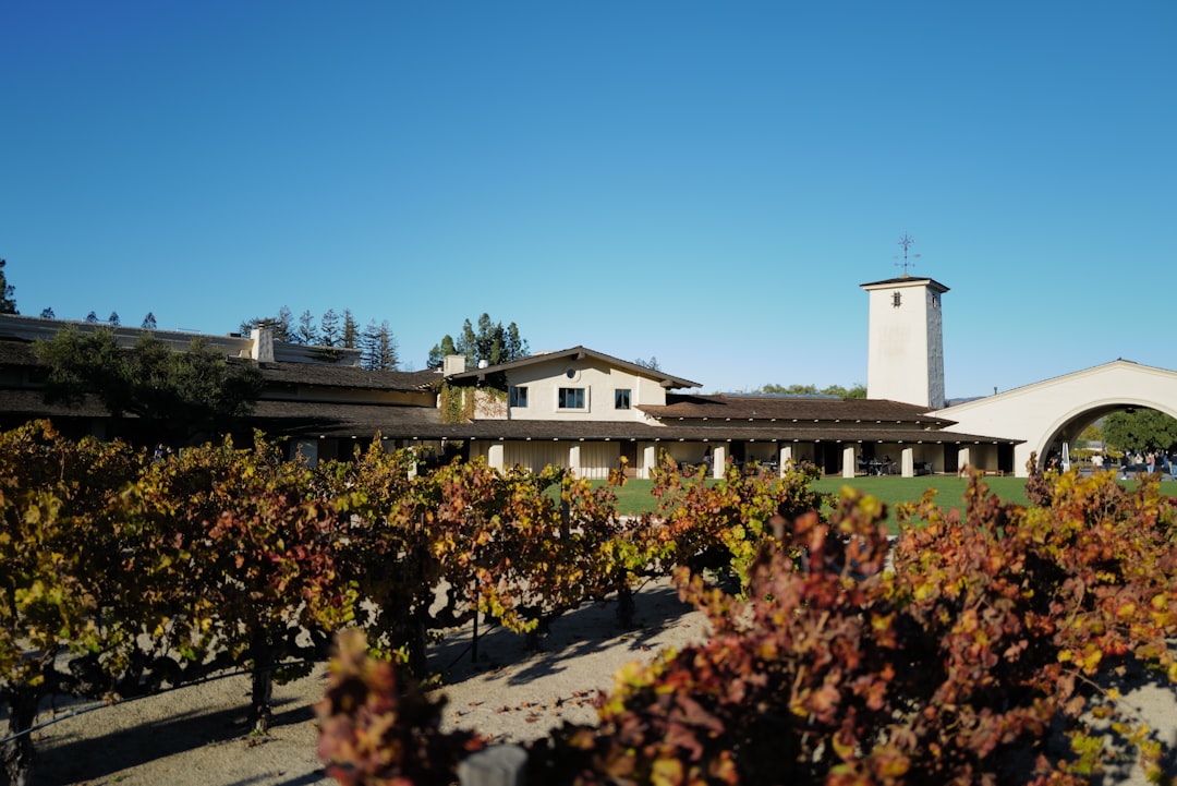 Colares : les vins atlantiques du Portugal - Alameda Cel. Linhares de Lima 32 | Secret World Trip Planner