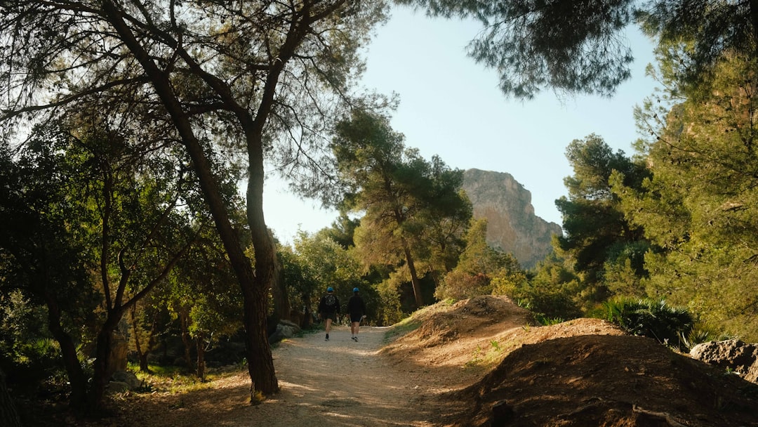 Caminito del Rey: The Path Through El Chorro's Gorges - 29550 Ardales | Secret World Trip Planner
