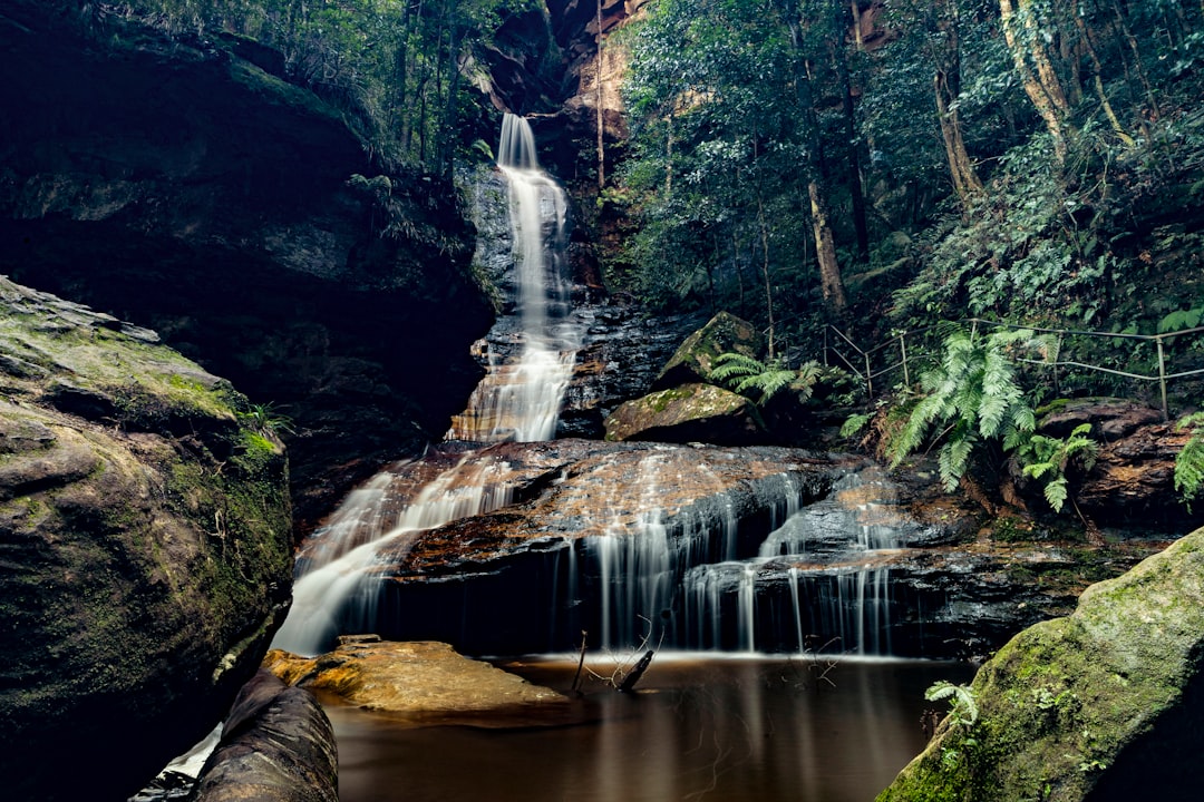 Blue Mountains: natura selvaggia tra eucalipti e arenaria - Nuovo Galles del Sud | Secret World Trip Planner