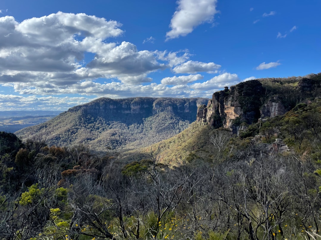 Blue Mountains: natura selvaggia tra eucalipti e arenaria - Nuovo Galles del Sud | Secret World Trip Planner