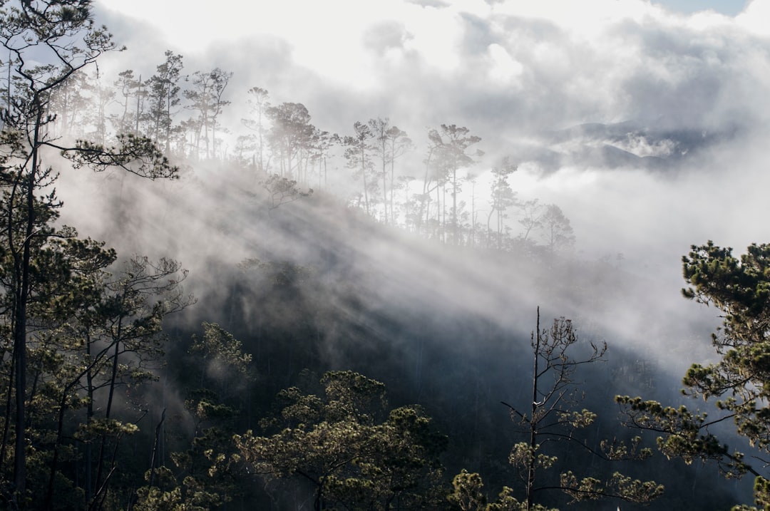 Pico Duarte: trekking sul tetto dei Caraibi - Pico Duarte | Secret World Trip Planner