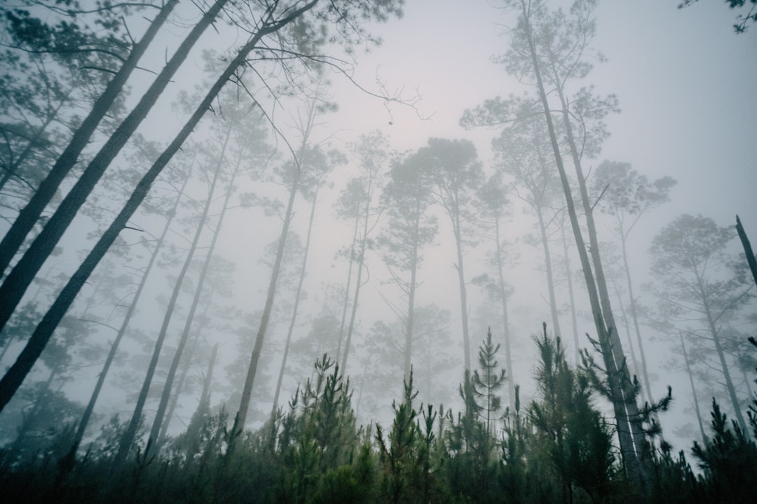 Pico Duarte: trekking sul tetto dei Caraibi - Pico Duarte | Secret World Trip Planner