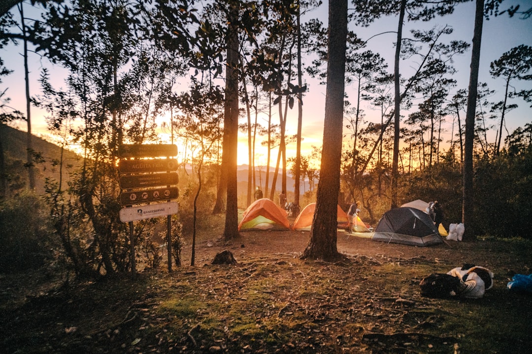 Pico Duarte: Trekking the Roof of the Caribbean - Pico Duarte | Secret World Trip Planner