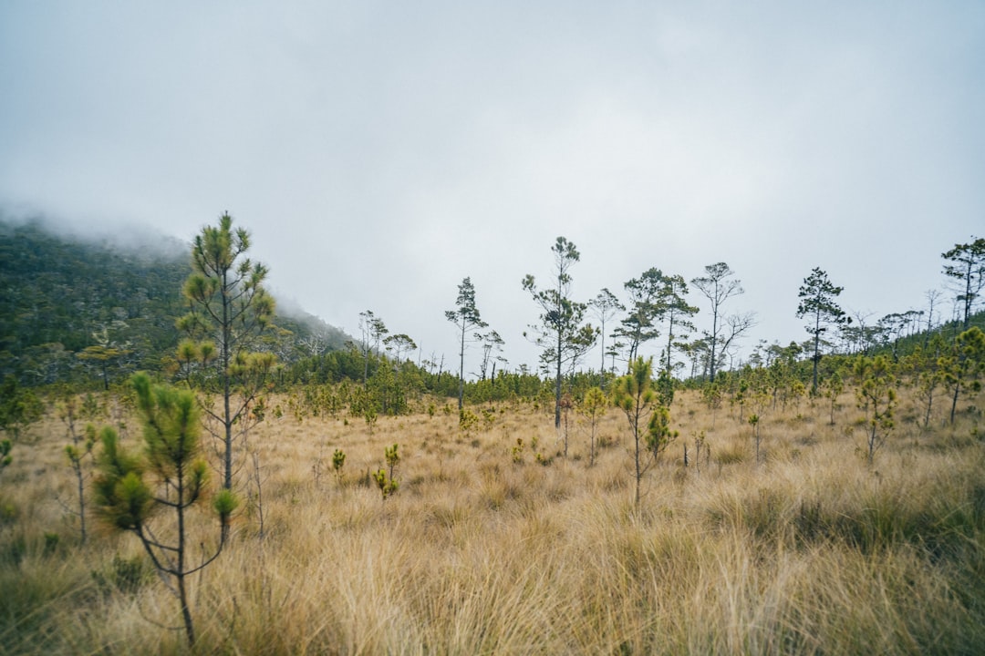 Pico Duarte: Trekking the Roof of the Caribbean - Pico Duarte | Secret World Trip Planner