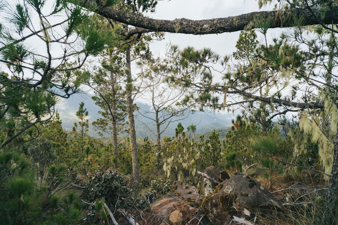 Pico Duarte: Trekking auf dem Dach der Karibik - Pico Duarte | Secret World Trip Planner