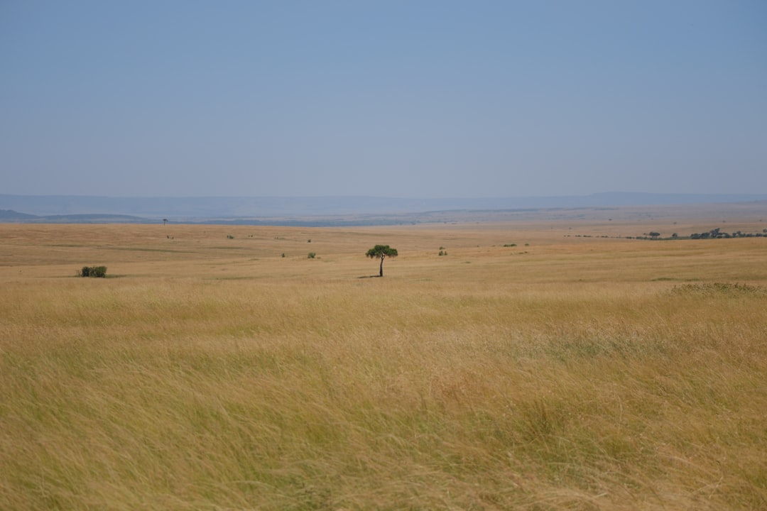 Masai Mara: grandi felini e savana keniana - Narok | Secret World Trip Planner