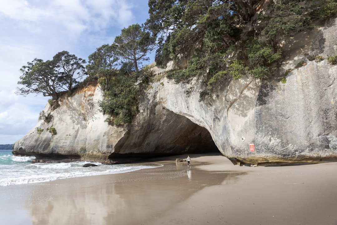 Te Hoho Rock : l'arche de pierre de Cathedral Cove - Hei Marine Reserve | Secret World Trip Planner