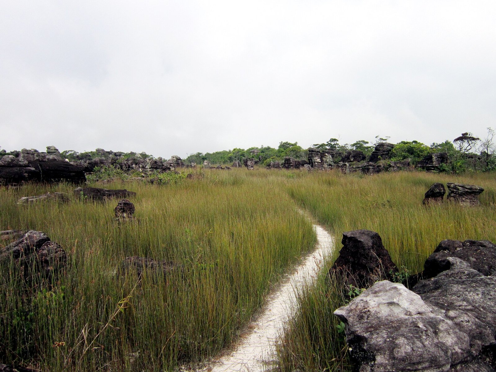 Scopri la Magia di Phnom Bokor: Un Paradiso Naturale in Cambogia - Changhaon | Secret World Trip Planner