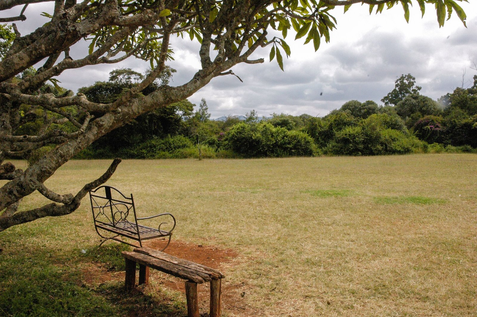 Découvrez Bench, le refuge de tranquillité au cœur du Kenya - Nairobi | Secret World Trip Planner