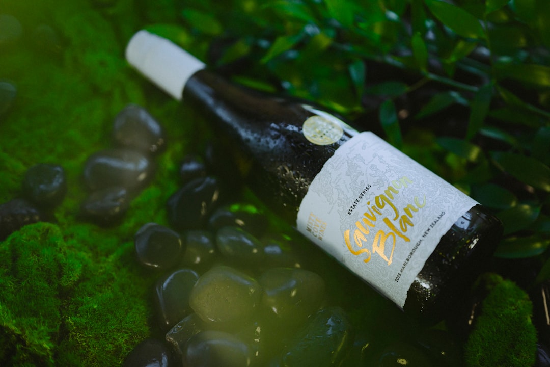 Visites de vins à Marlborough : vélo dans les vignes - Springlands | Secret World Trip Planner
