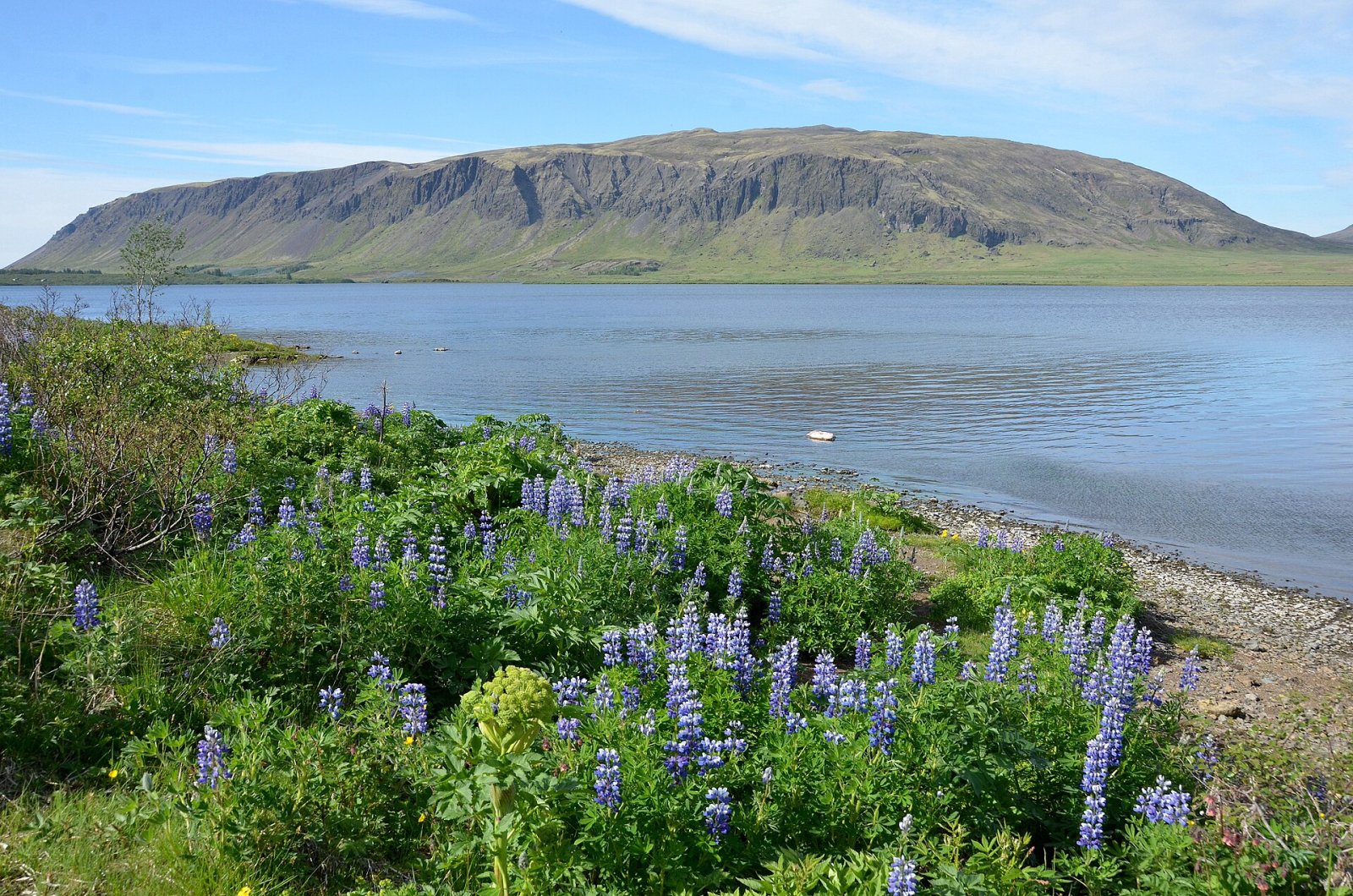 Ingólfsfjall : un bijou naturel d'Islande - Árbæjarhverfi | Secret World Trip Planner