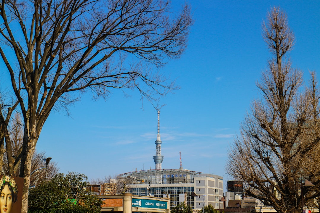 Musée National de Tokyo : guide des collections - Taito City | Secret World Trip Planner