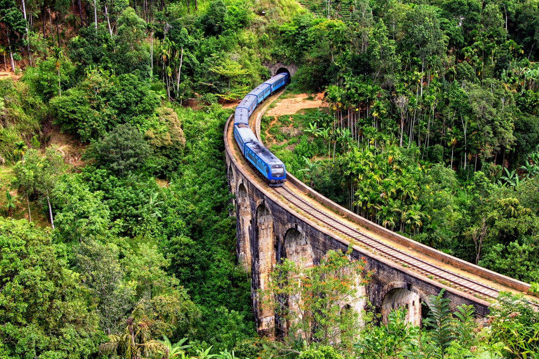 Kikiliyamana: a corner of unspoiled nature in Sri Lanka - Nuwara Eliya | Secret World Trip Planner