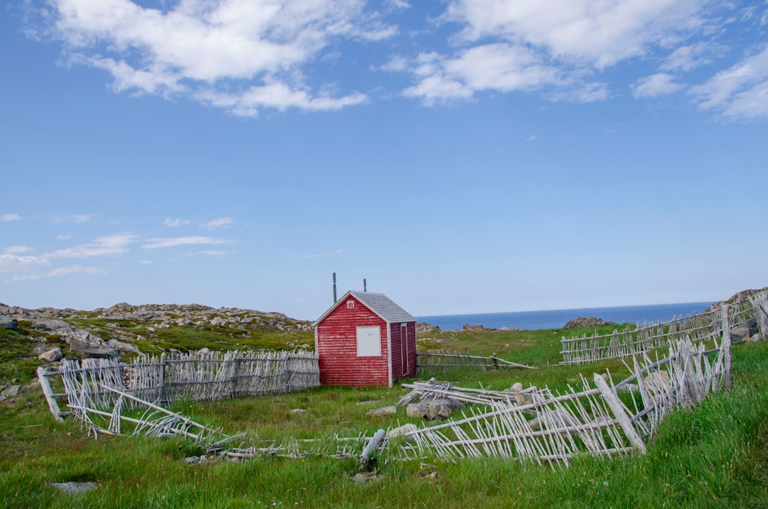 Der Leuchtturm von Cape Bonavista: Geschichte und Puffins - Bonavista | Secret World Trip Planner