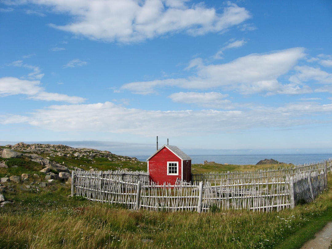 Le phare de Cape Bonavista : histoire et puffins à Terre-Neuve - Bonavista | Secret World Trip Planner