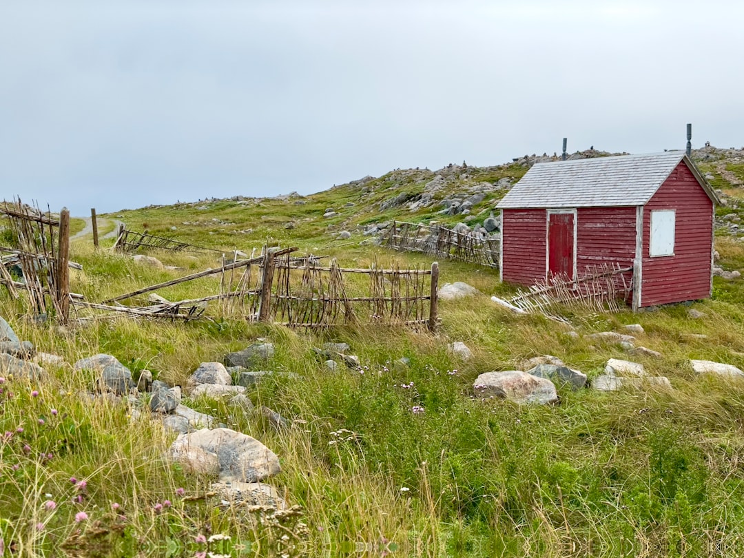 Le phare de Cape Bonavista : histoire et puffins à Terre-Neuve - Bonavista | Secret World Trip Planner