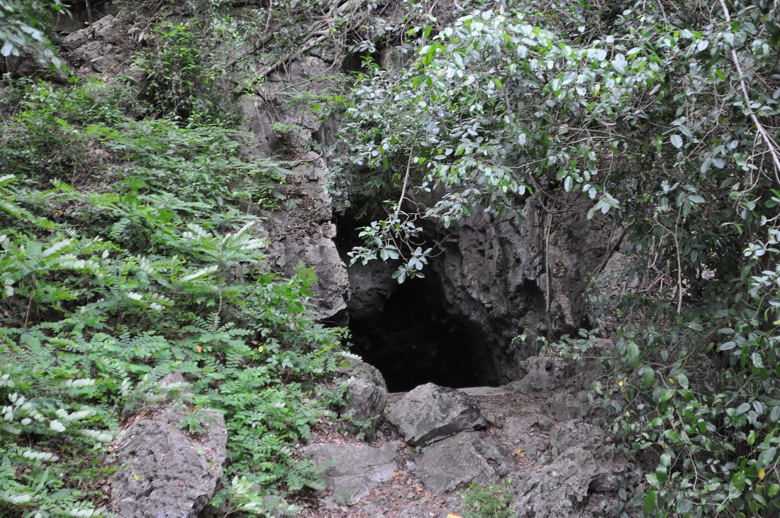 Scopri la Bat Cave in Cambogia: un tesoro naturale da esplorare - Krong Kaeb | Secret World Trip Planner