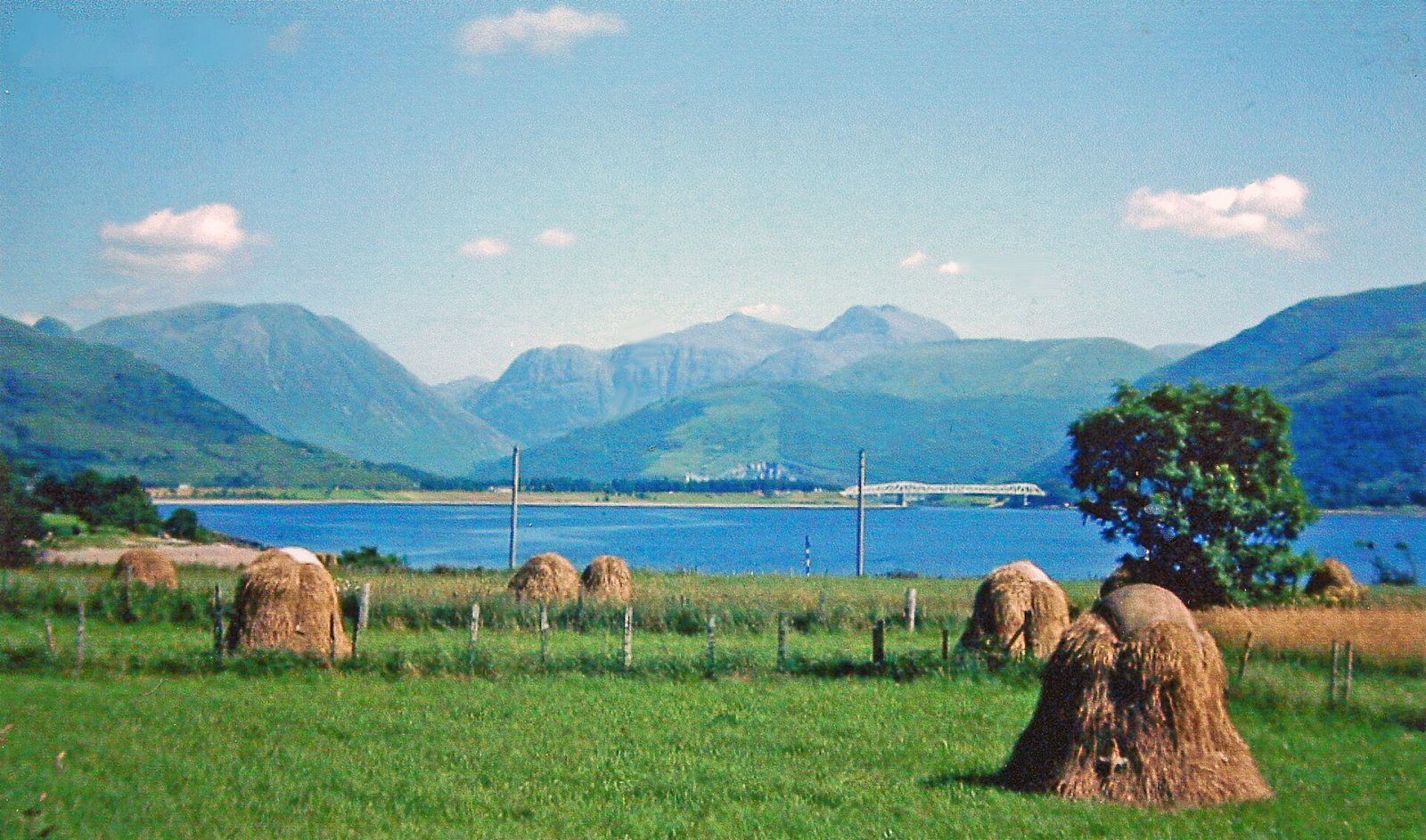 Discover Sgor nam Fiannaidh: An Untouched Nature Spot in Scotland - MXH7+Q4 Ballachulish | Secret World Trip Planner