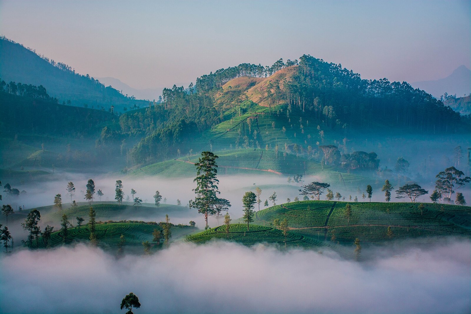 Kotagala: A Corner of Untouched Nature in Sri Lanka - Hatton | Secret World Trip Planner