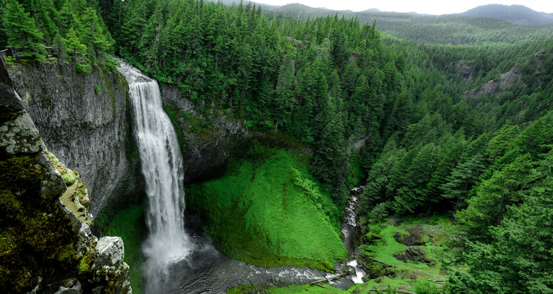 Cascades de Wli : les plus hautes d'Afrique de l'Ouest - Afegame | Secret World Trip Planner