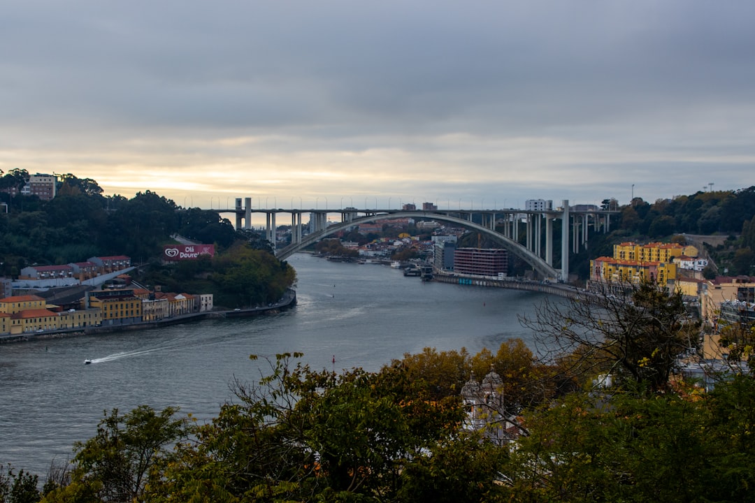Jardins du Palais de Cristal : Porto vu d'en haut - R. de D Manuel II | Secret World Trip Planner