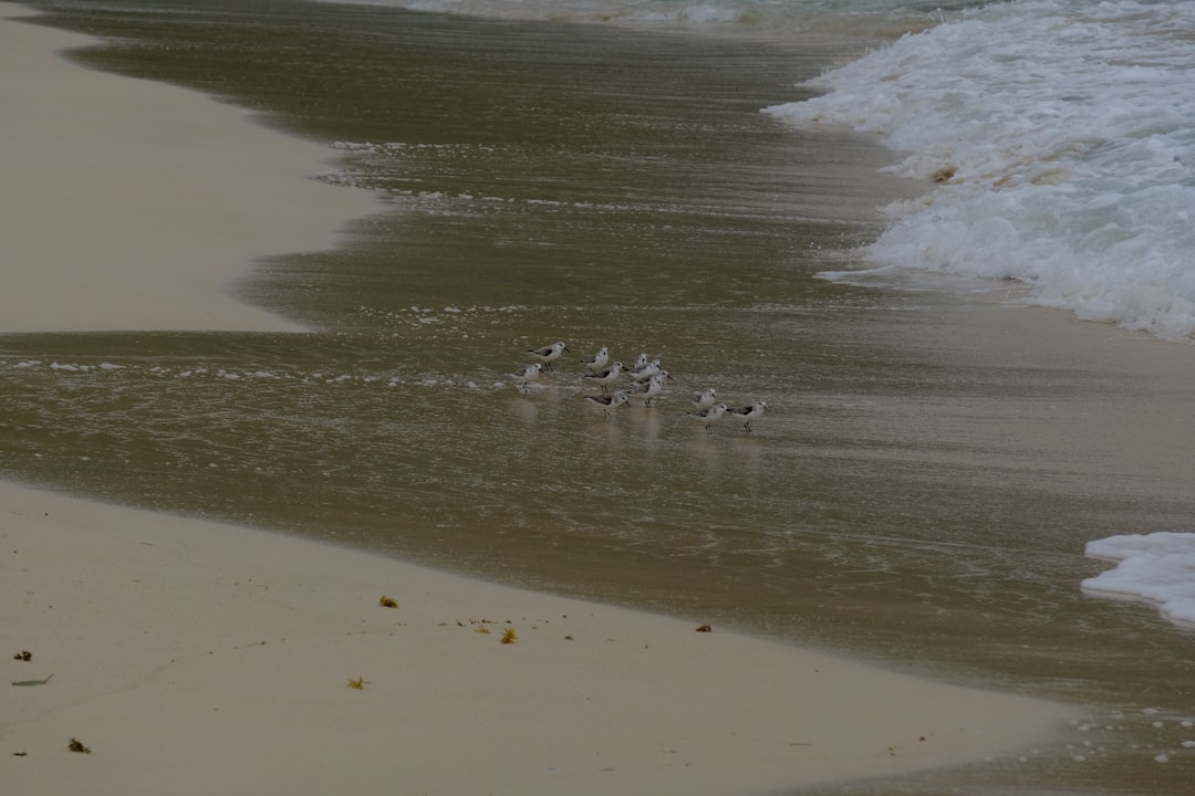 Playa Rincón : la plage sauvage de Las Galeras - Playa Rincon | Secret World Trip Planner