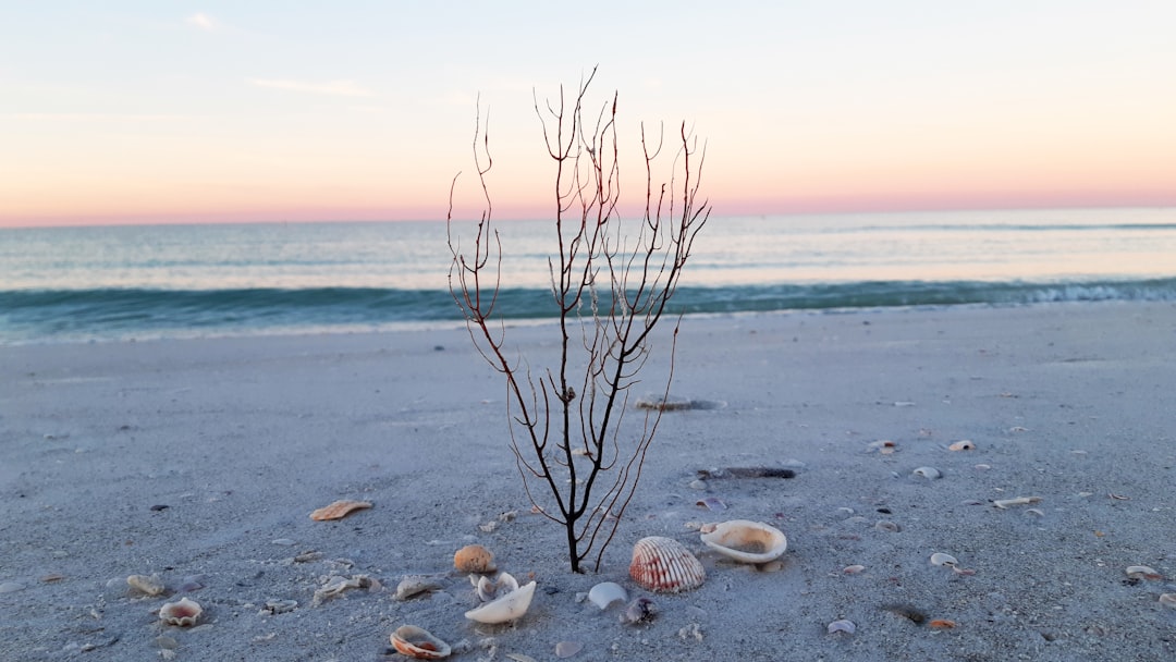 Treasure Beach: Die vergessenen Strände Jamaikas - Treasure Beach | Secret World Trip Planner