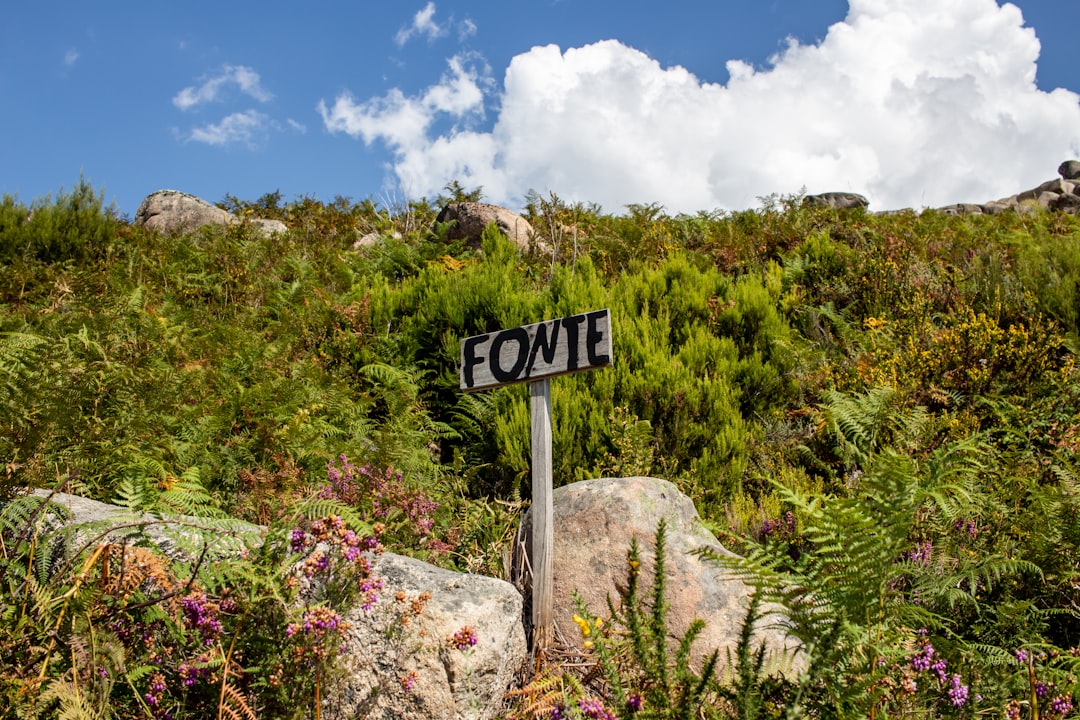Le phare de Pointe du Bout : fer et corail en Martinique - Pointe du Bout | Secret World Trip Planner