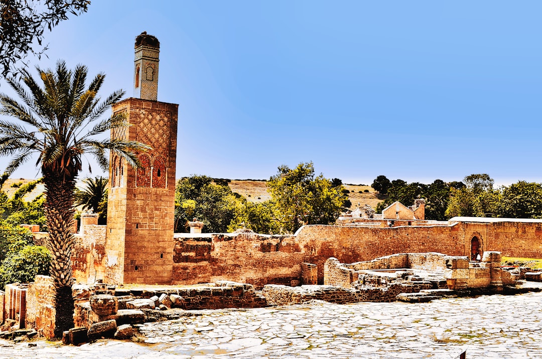 Chellah: rovine romane e cicogne a Rabat - 254H+HVC | Secret World Trip Planner