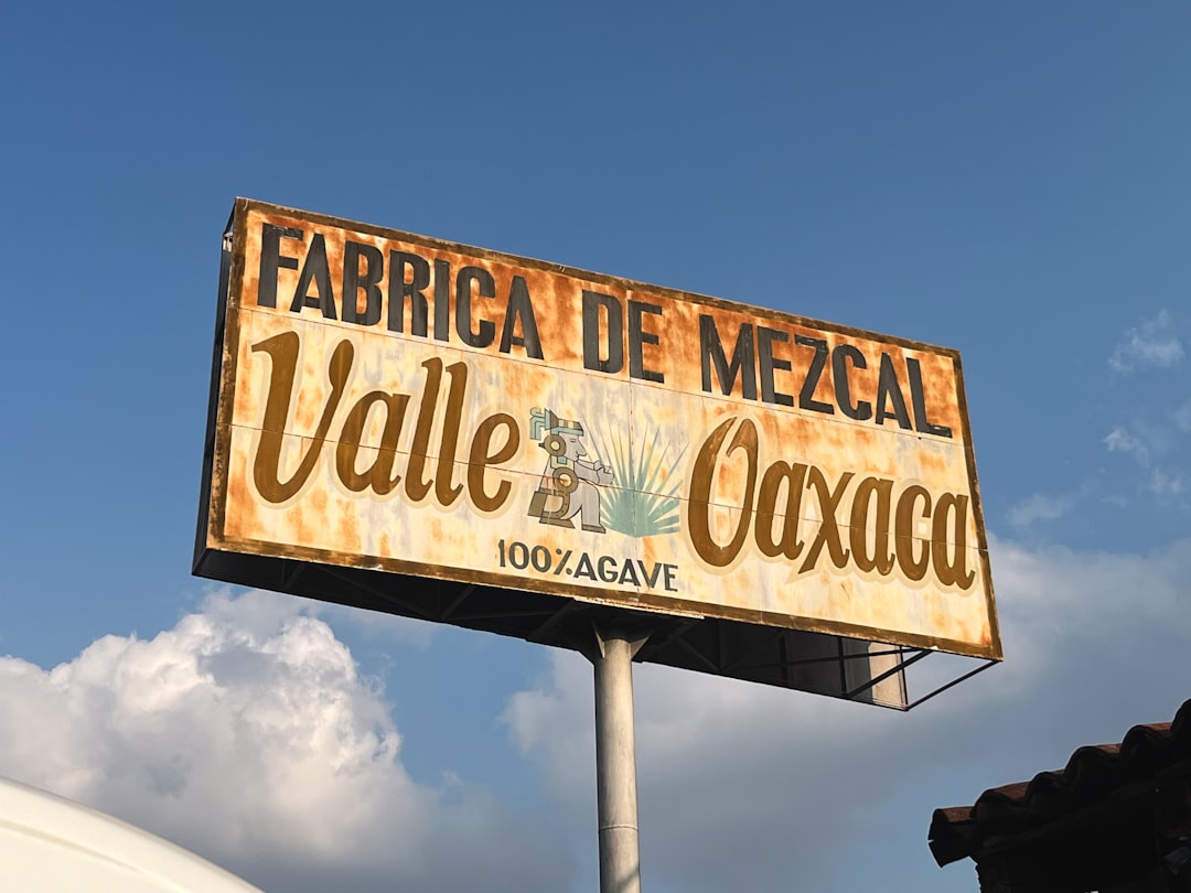 Mezcal Tour Oaxaca: distillerie artigianali tra gli agavi - 68100 Oaxaca de Juárez | Secret World Trip Planner