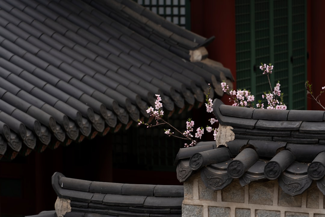 Gyeonghuigung: The Silent Palace of Seoul - Jongno District | Secret World Trip Planner