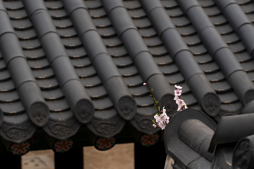 Gyeonghuigung: The Silent Palace of Seoul - Jongno District | Secret World Trip Planner
