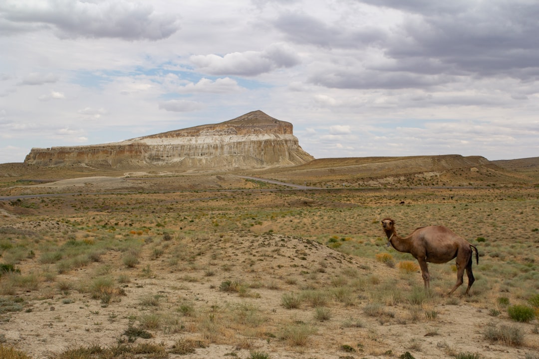 Aktau Mountains: Kazakhstan's Stunning White Badlands - X6QJ+P6Q | Secret World Trip Planner