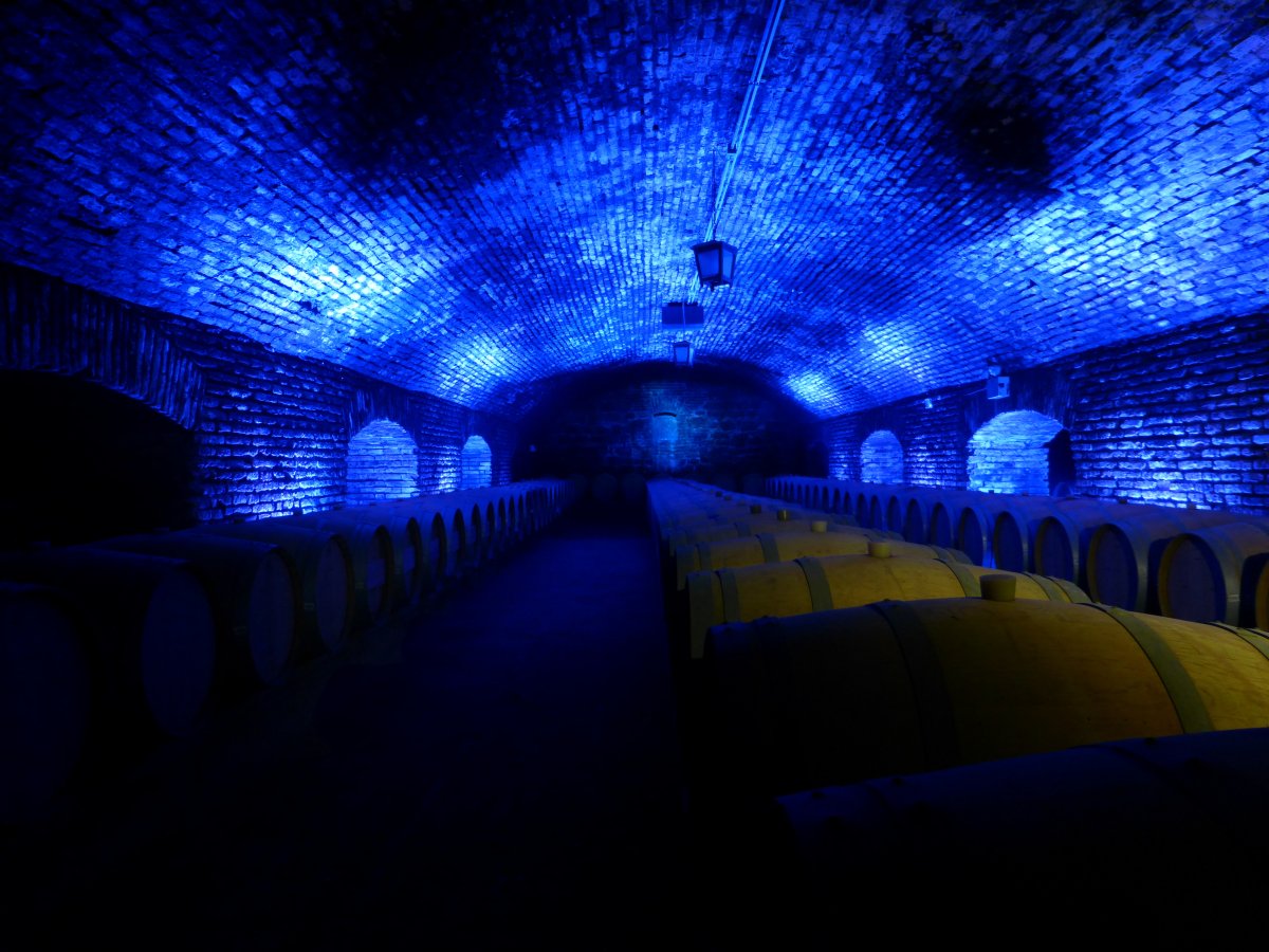 Viña Concha y Toro : vins et caves à Pirque - Pirque | Secret World Trip Planner