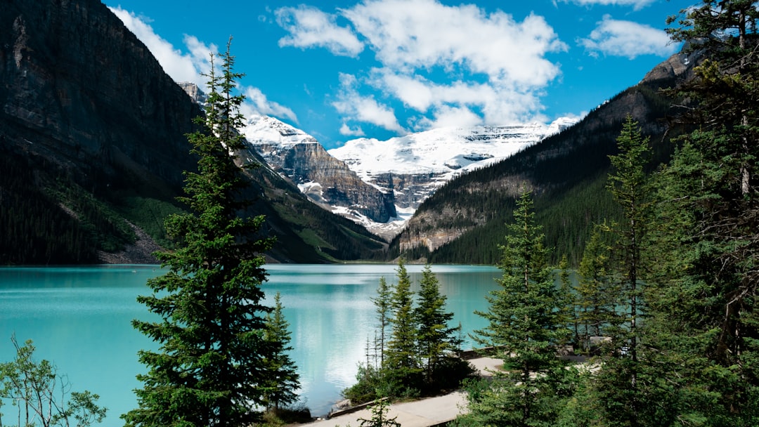Peyto Lake: il lago turchese delle Montagne Rocciose - Lake Louise | Secret World Trip Planner
