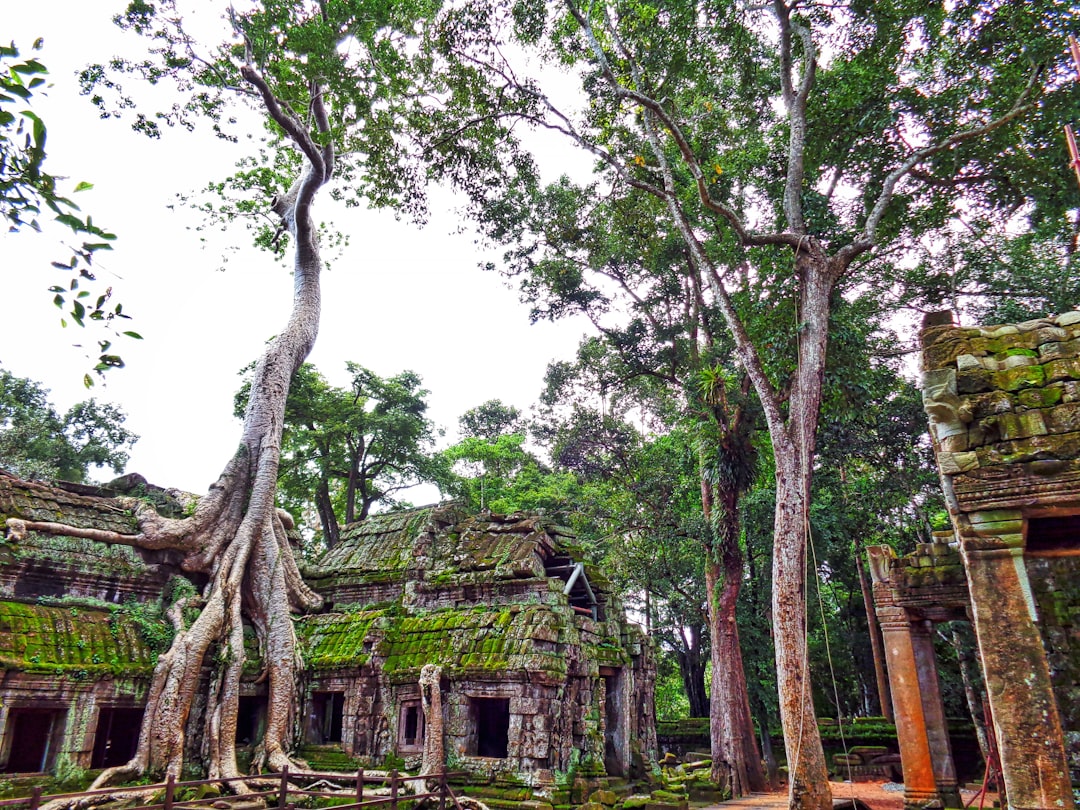 Angkor Wat à l'aube : tours dans la brume et reflets - Wat Po | Secret World Trip Planner