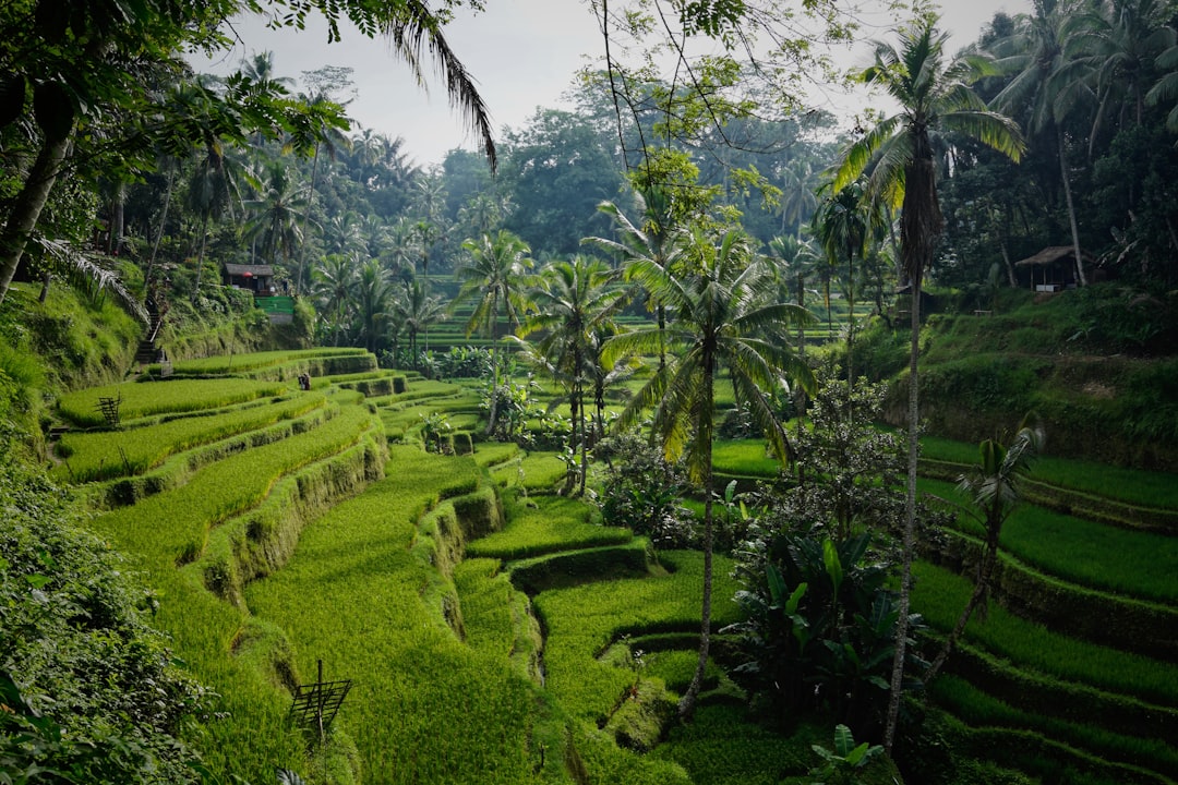 Affordable Bali Vacations 2026: Your Budget Guide — Bali
