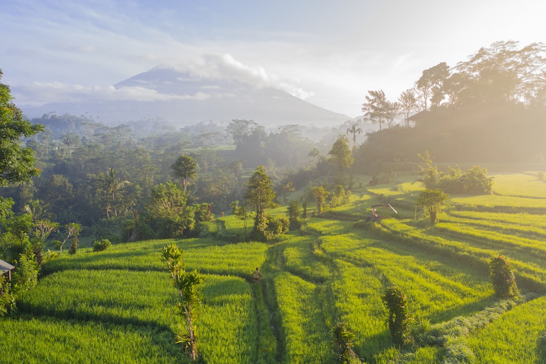 Affordable Bali Vacations 2026: Your Budget Guide - Bali | Secret World Trip Planner