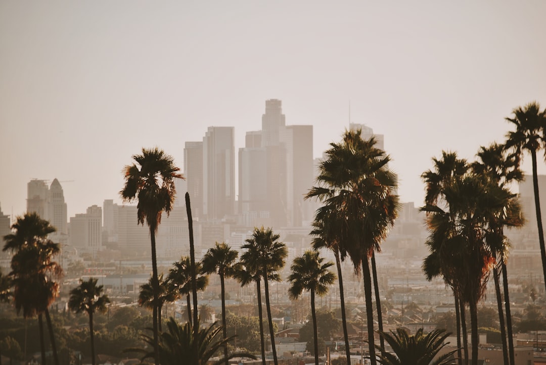 Top 5 Travel Apps for 2026 in Los Angeles - Los Angeles | Secret World Trip Planner