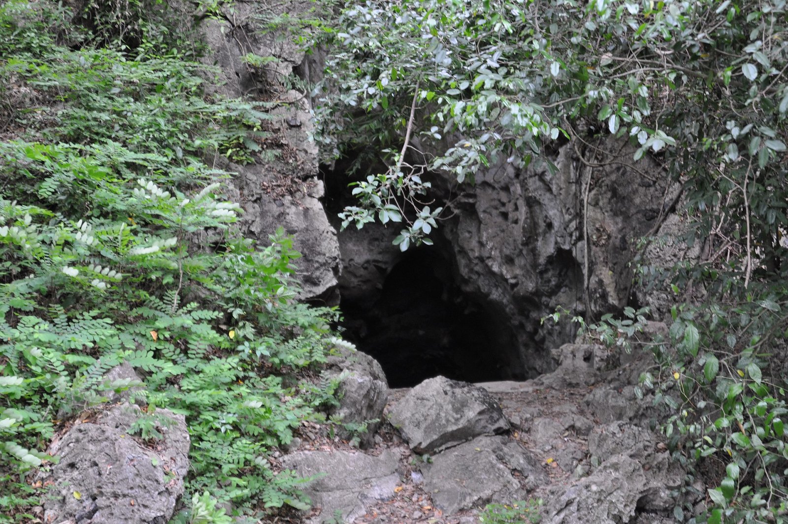 Killing Cave: un viaggio tra memoria e natura in Cambogia - Krong Battambang | Secret World Trip Planner