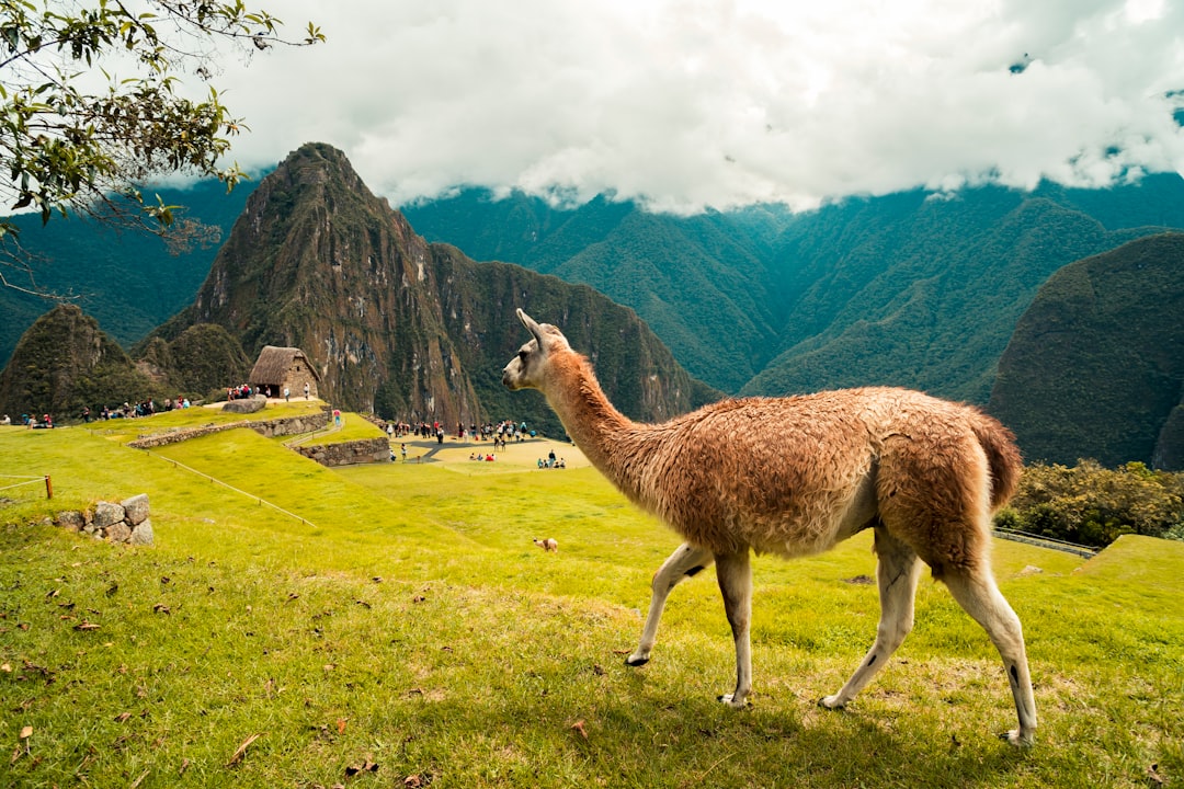 Découvrez Huacaypaca : un joyau naturel du Pérou — Yuracmayo