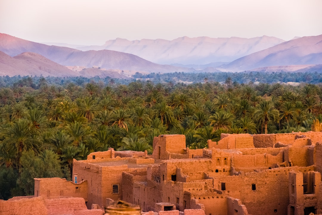 Discovering Agdz: A Historical Gem in the Heart of Morocco - MHV3+8W | Secret World Trip Planner