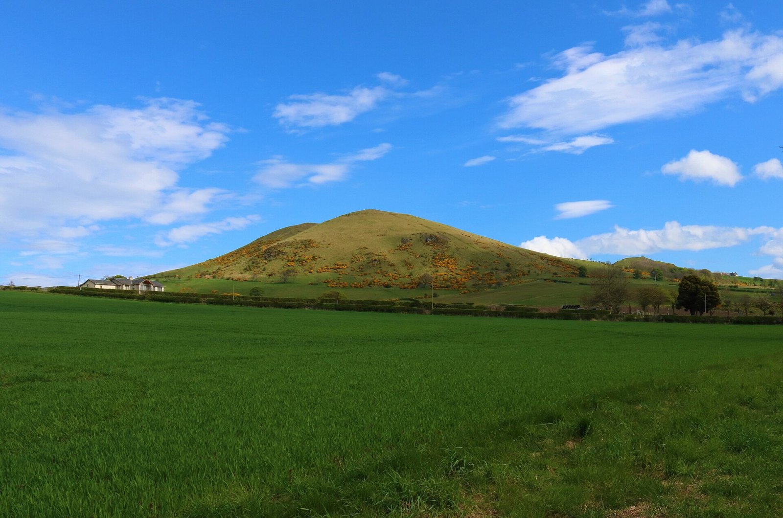 Largo Law entdecken: Ein Naturparadies in Schottland — 63MF+HM Leven