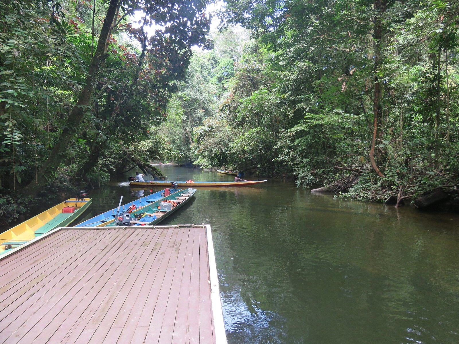 Entdecke die Magie der Clearwater Cave in Malaysia | Secret World Trip Planner