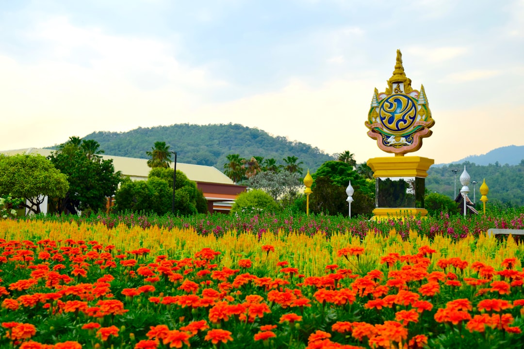 Découvrez Doi Nang Non : La Montagne de la Femme Endormie en Thaïlande - Mae Sai District | Secret World Trip Planner