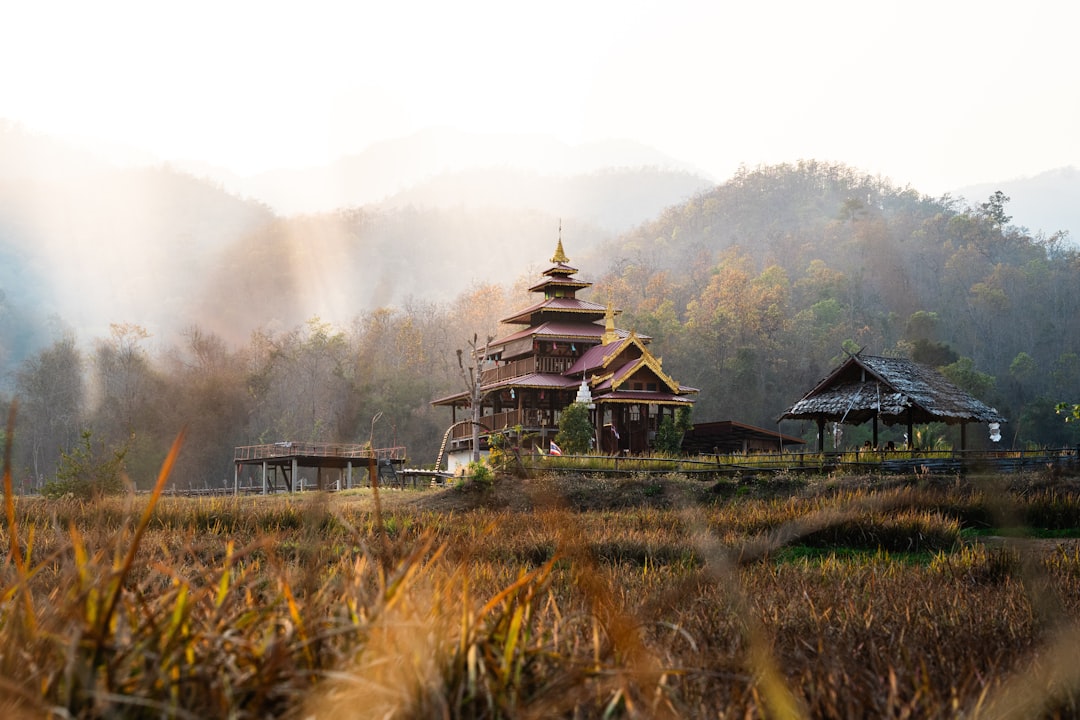 Découvrez Doi Tung : le joyau caché de la Thaïlande — Mae Sai District