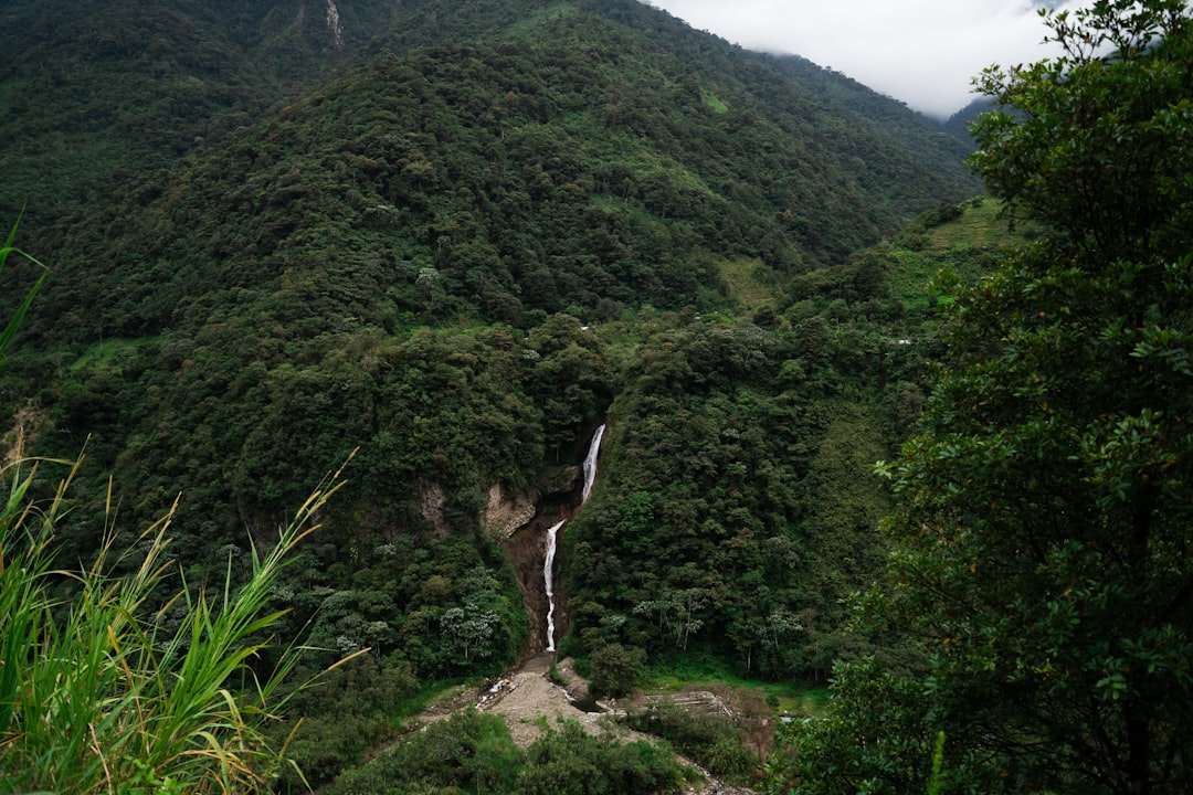 Ami Grande: a natural treasure in the heart of Ecuador - Ticatilín | Secret World Trip Planner